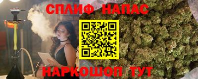 a pvp Аргун