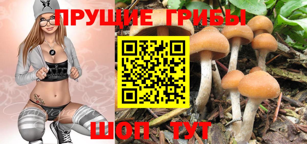 Псилоцибиновые грибы Magic Shrooms Ачхой-Мартан